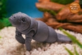 Manatee Toy 3D Printed Manatee