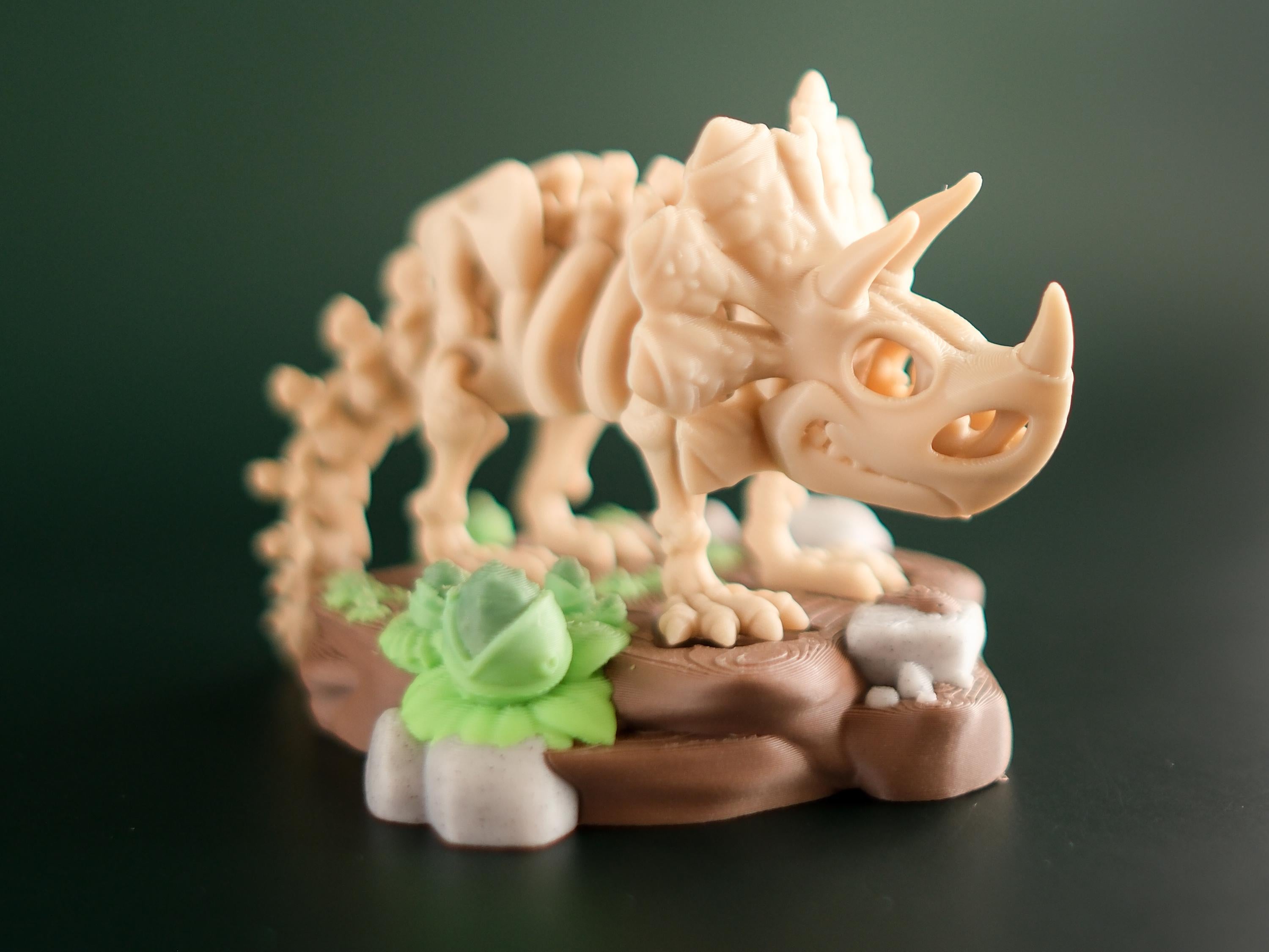 Articulated Mini Skeleton Triceratops 3D Printed Toy Set with Stand and branch treats