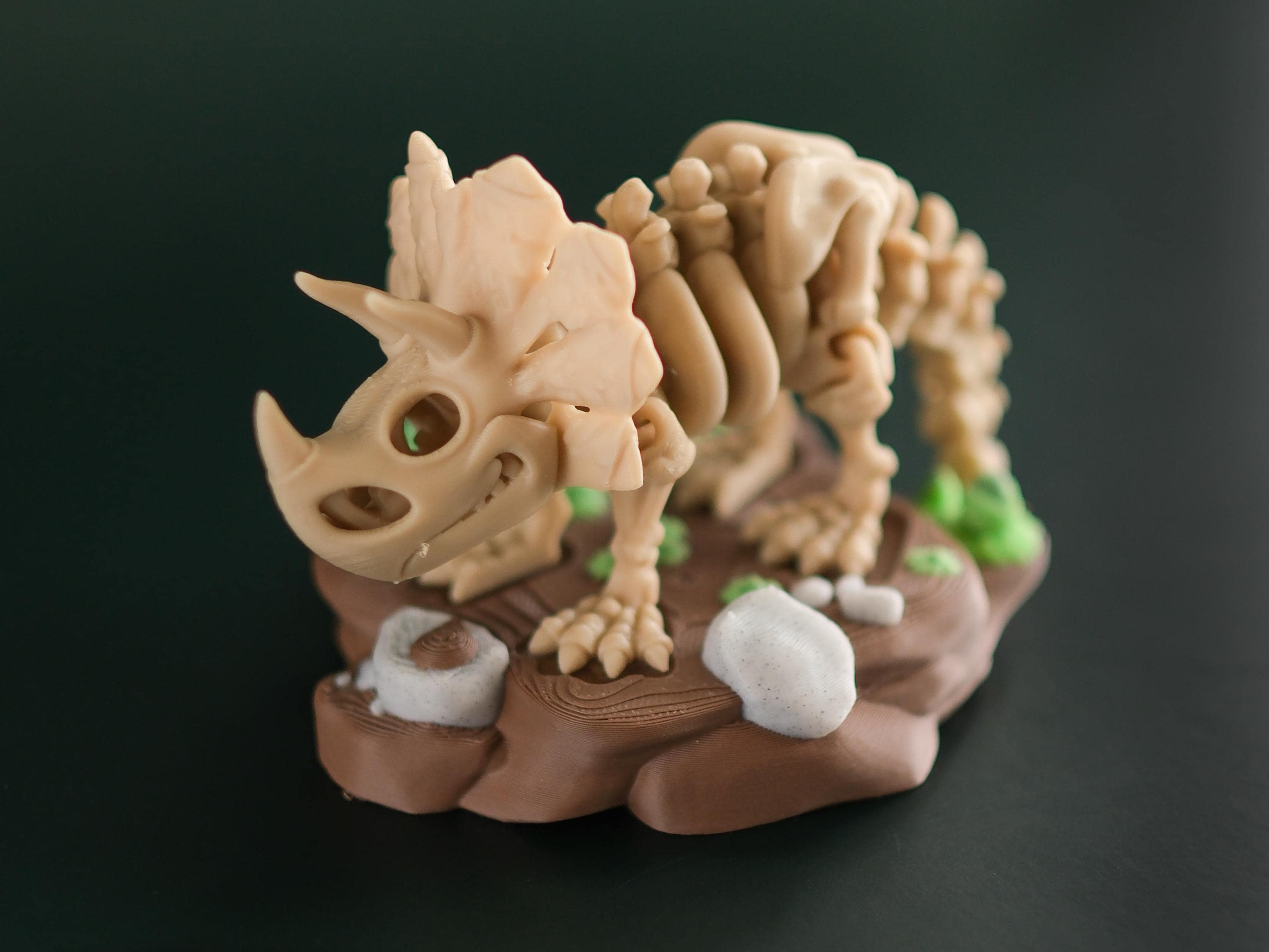 Articulated Mini Skeleton Triceratops 3D Printed Toy Set with Stand and branch treats