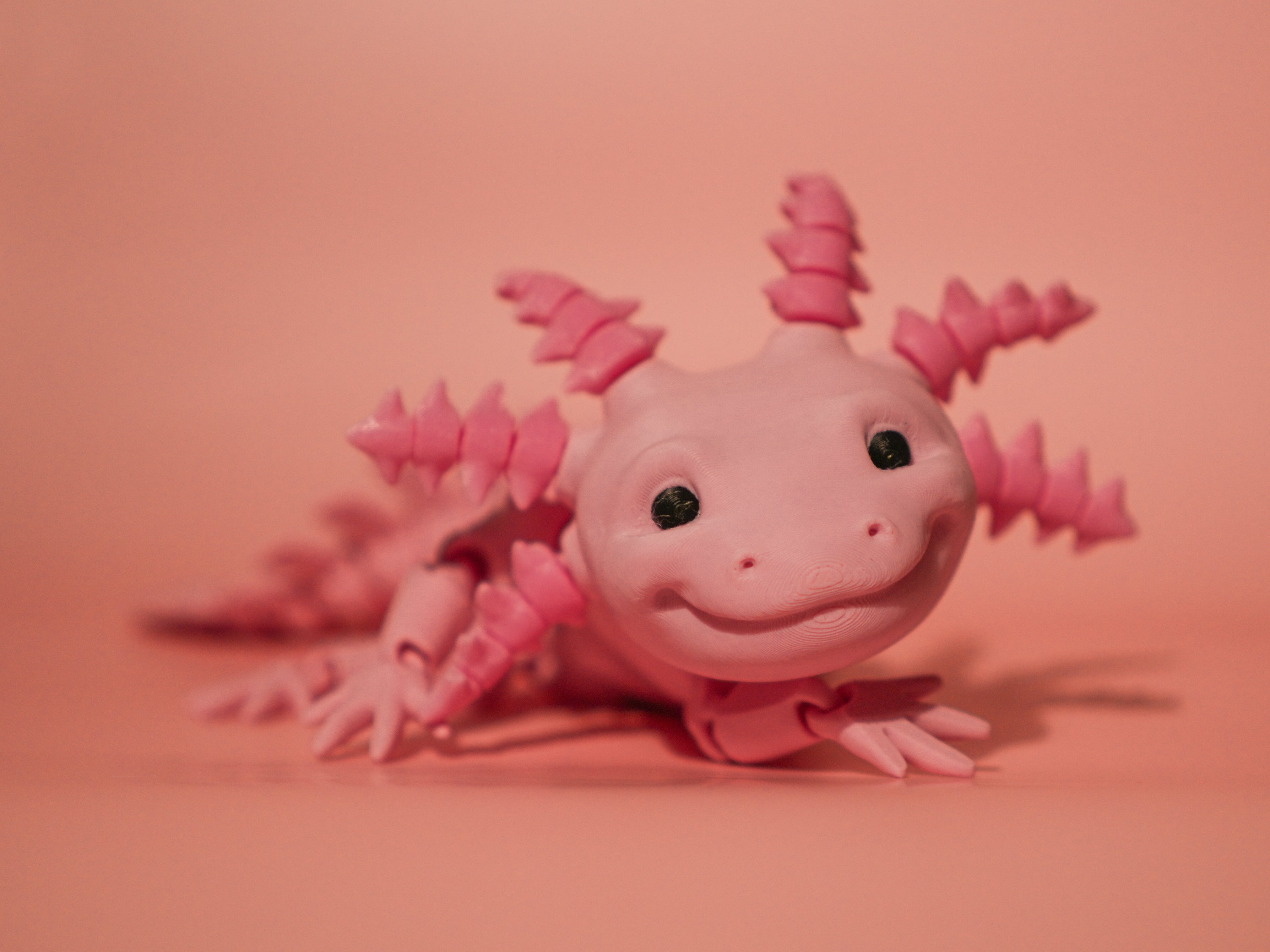 Pink Axolotl 3D Printed Articulated Toy