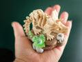 Articulated Mini Skeleton Triceratops 3D Printed Toy Set with Stand and branch treats